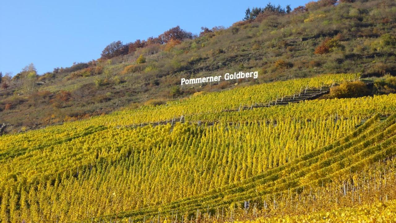 Ferienwohnung Im Bachtal Pommern Kültér fotó